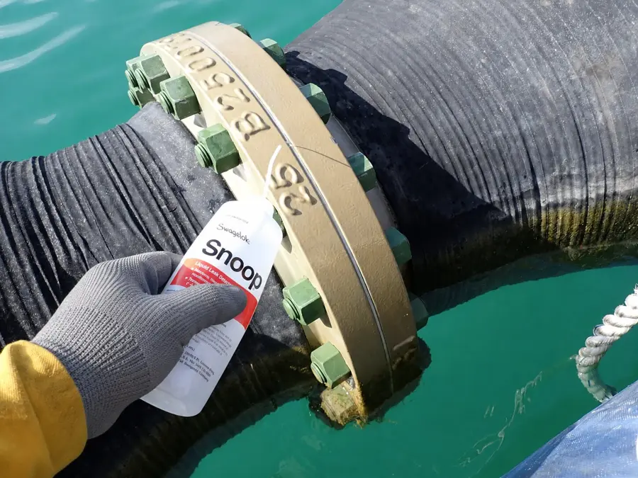 Leak testing a marine hose flange connection